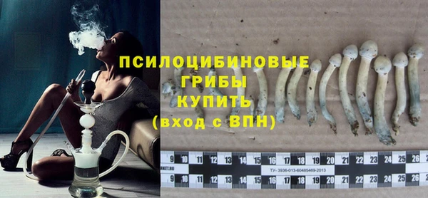 дживик Алексин